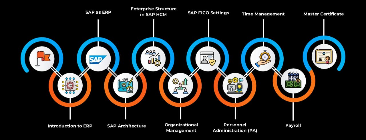 Learning curve for SAP Success Factor Learning curve for SAP Success Factor