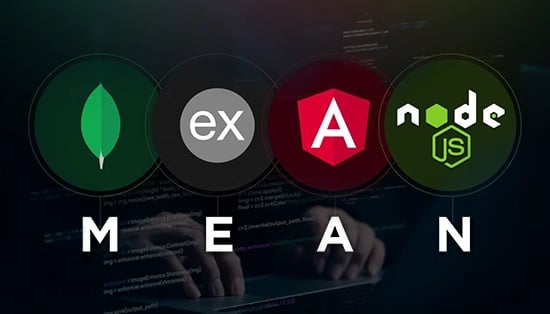MEAN Stack Course