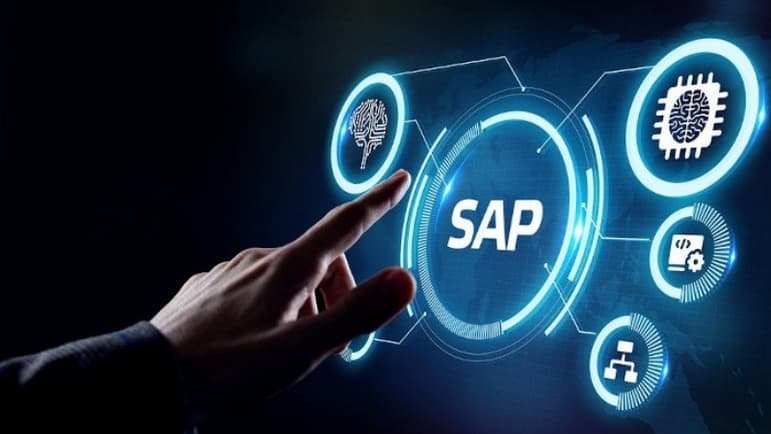 Understanding SAP Functionality