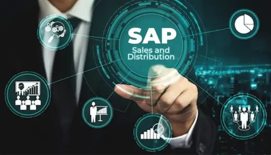 SAP SD Classes in India