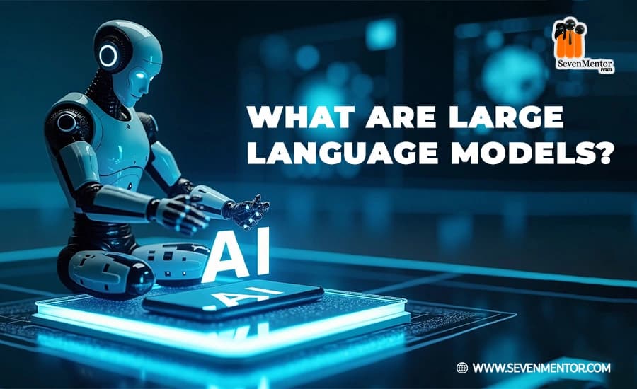 What are Large Language Models?