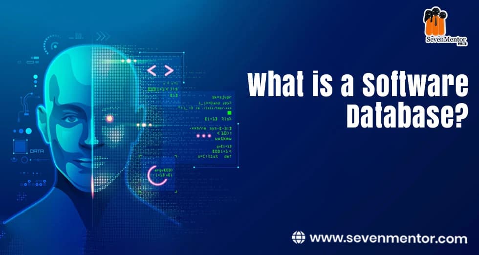 What is Software DataBase