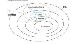 Shell Scripting Interview Questions and Answers 2024