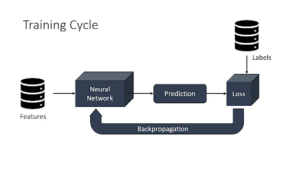 Training Loop: